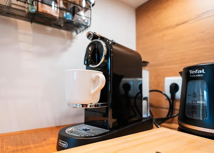 Apartment Inviting Flat Near Center & The Mosel River Koblenz (Rhineland-Palatinate)